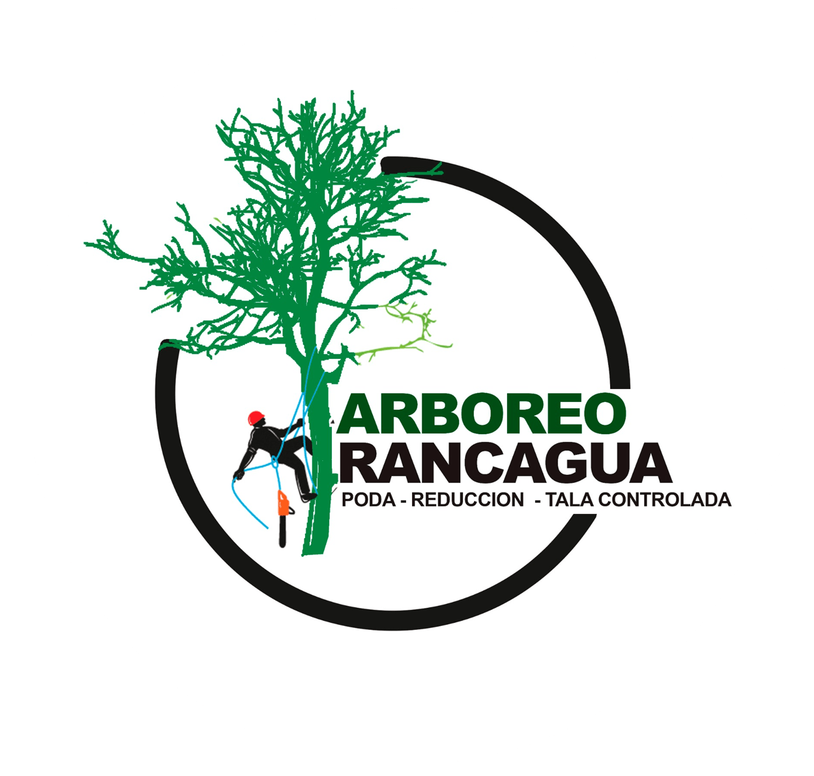 Arboreo Rancagua: Servicios de podas de árboles