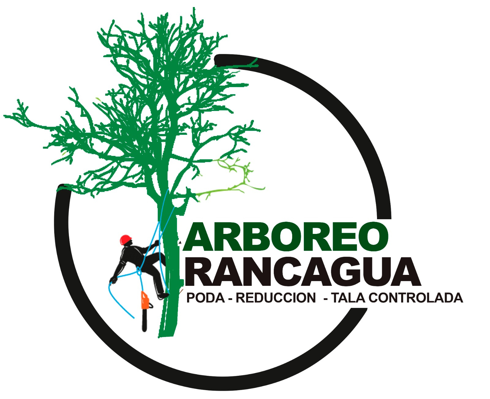 Arboreo Rancagua: Servicios de podas de árboles